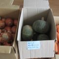 寒い季節に野菜の寄付